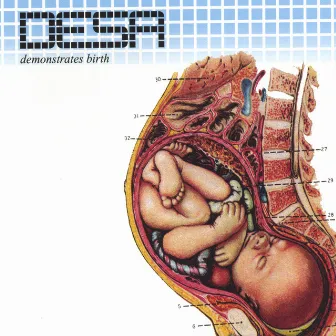 Demonstrates Birth by Desa