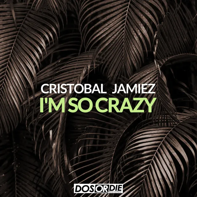 I'm so Crazy - Original Mix