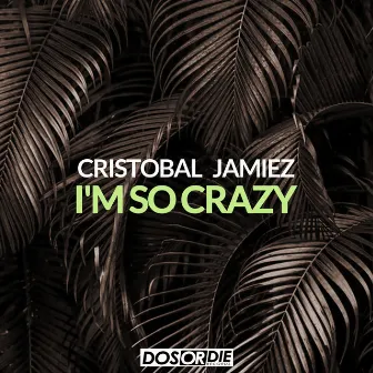 I'm so Crazy by Cristobal & Jamiez