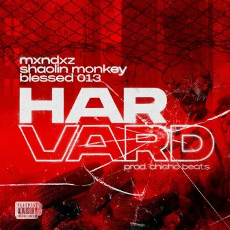 Harvard by Shaolin Monkey