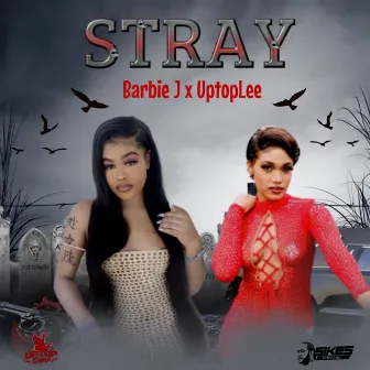 Stray by Barbie J