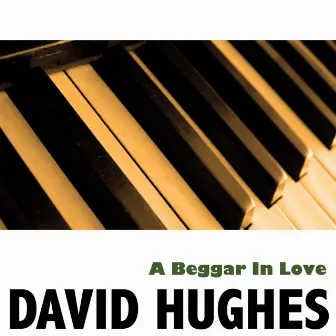 A Beggar In Love by David Hughes