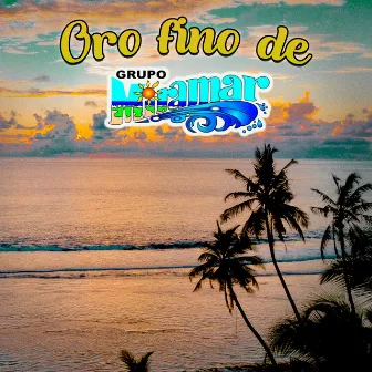 Oro Fino de Grupo Miramar by Grupo Miramar