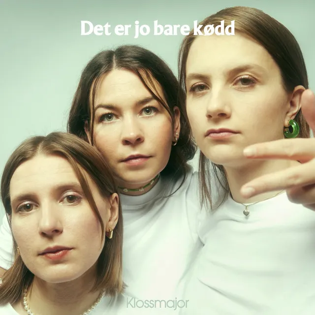 Det er jo bare kødd - Single Edit