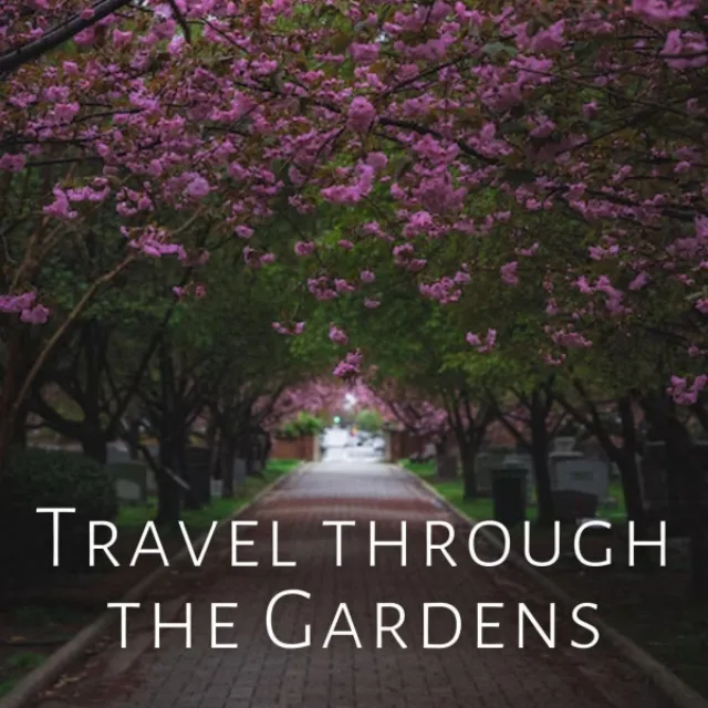 Travel through the Gardens