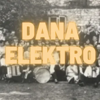 Danaelektro by Albert Pyśk