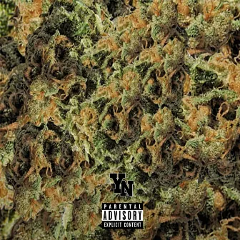 Smoking Weed by YN Mafia