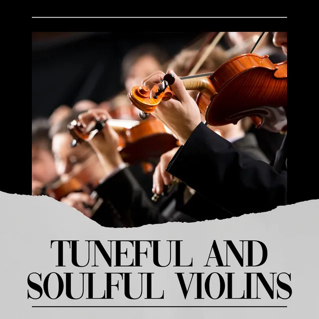 Tuneful and Soulful Violins