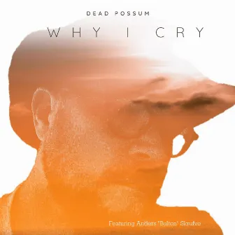 Why I Cry by Dead Possum