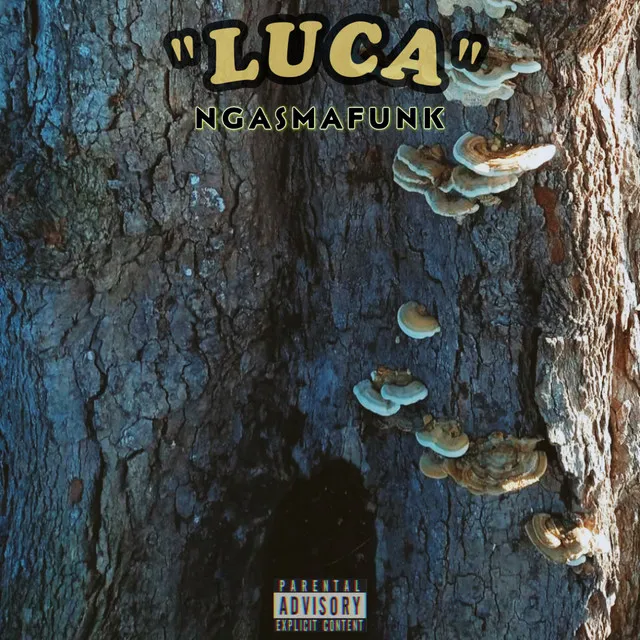 Luca