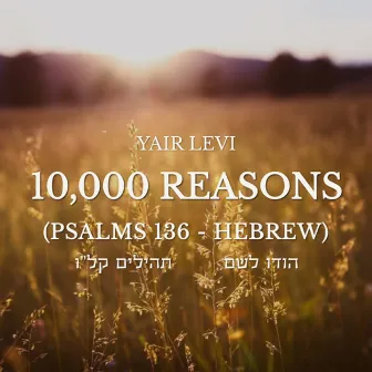 10,000 Reasons (Psalms 136 - Hebrew) by Yair Levi