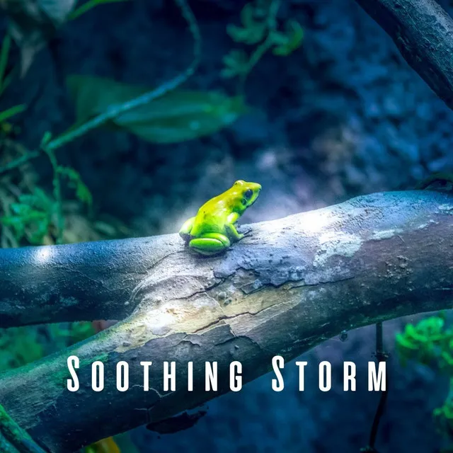 Soothing Storm: Heavy Rain and Frog Nocturnes for Sleep