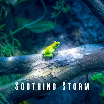 Soothing Storm: Heavy Rain and Frog Nocturnes for Sleep by Selectrodynamic