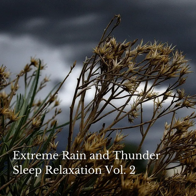 Extreme Rain and Thunder Sleep Relaxation Vol. 2