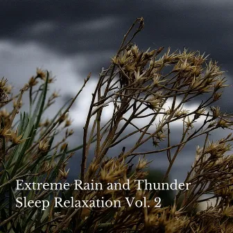 Extreme Rain and Thunder Sleep Relaxation Vol. 2 by Rain Hive