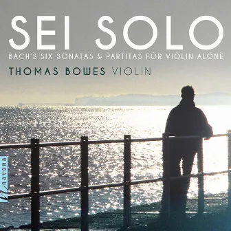 Sei Solo by Thomas Bowes