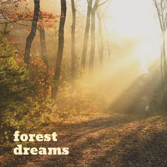 Silviculture by Forest Dreams