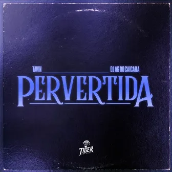 Pervertida by Dj AG do Caiçara