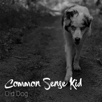 Old Dog by Common Sense Kid