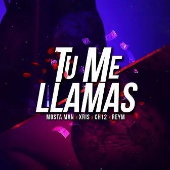 Tu Me Llamas by Xris