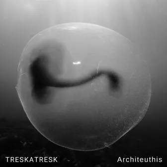 Architeuthis by TRESKATRESK