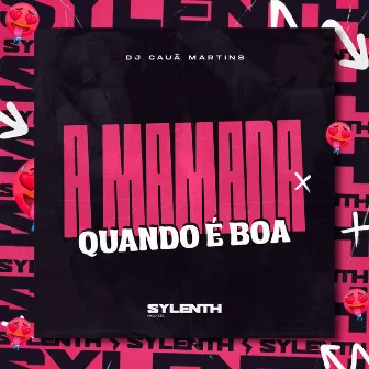 A Mamada Quando É Boa by DJ Cauã Martins