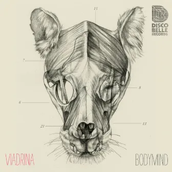 Bodymind by Viadrina