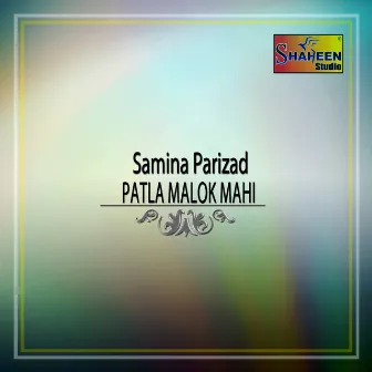 Patla Malok Mahi - Single by Samina Parizad