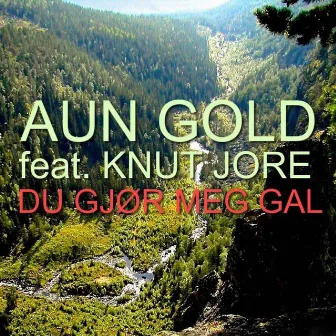 Du Gjør Meg Gal (feat. Knut Jore) by Aun Gold