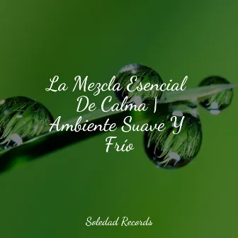 La Mezcla Esencial De Calma | Ambiente Suave Y Frío by Piano para Relajarse