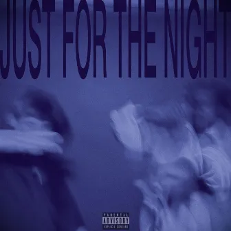 JUST FOR THE NIGHT by Caleb Evans