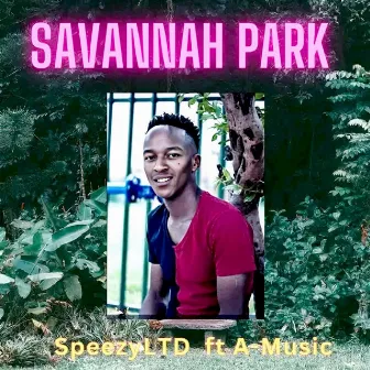 Savannah Park by SpeezyLTD