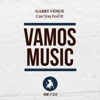 Can You Feel It by Gabry Venus