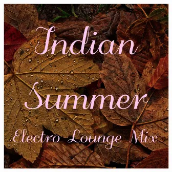 Indian Summer Electro Lounge Mix by Chill Out 2016