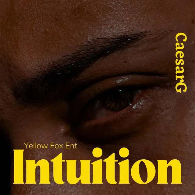 Intuition