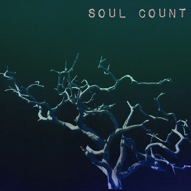 Soul Count