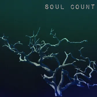 Soul Count by Nathan James