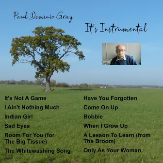 It's Instrumental by Paul Dominic Gray