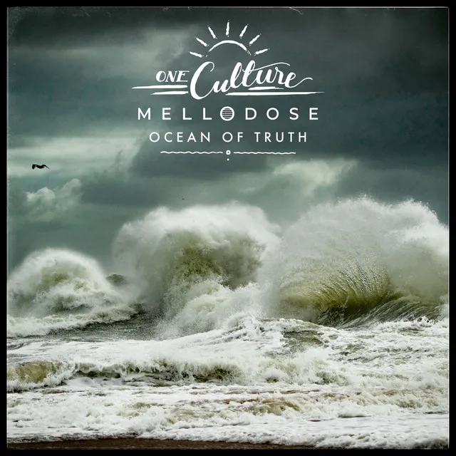 Ocean of Truth