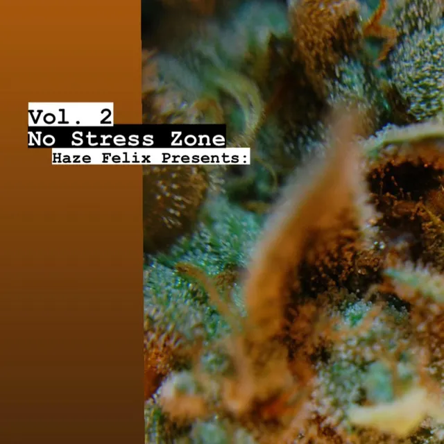 Haze Felix Presents: No Stress Zone, Vol. 2