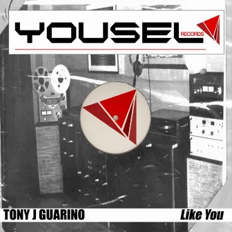 Like You by Tony J Guarino