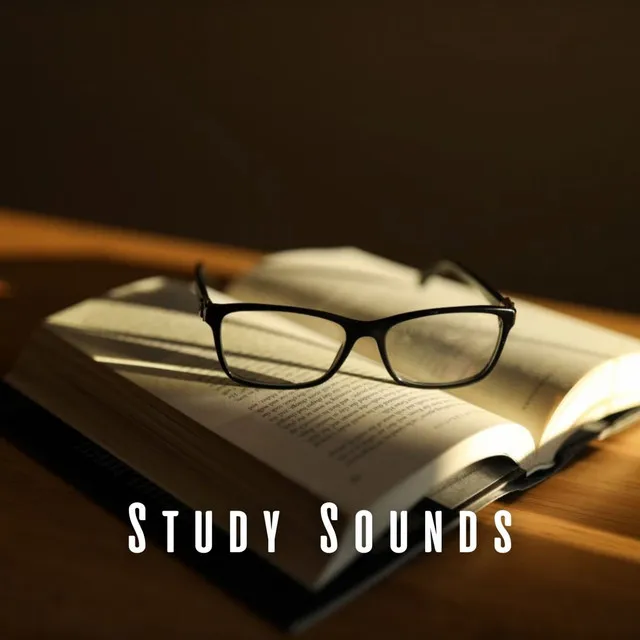 Study Sounds: Chill Music for Educational Moments