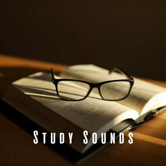 Study Sounds: Chill Music for Educational Moments by Zen Music Academy