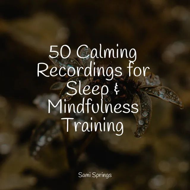 50 Calming Recordings for Sleep & Mindfulness Training