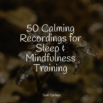 50 Calming Recordings for Sleep & Mindfulness Training by Regen zum Schlafen