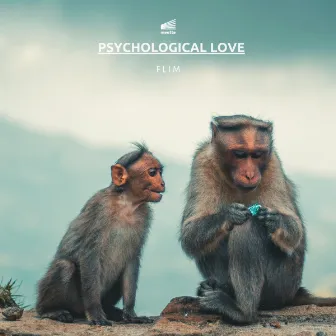 Psychological Love by Flim