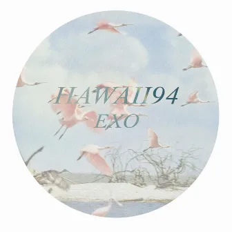 EXO (A collection of B-Sides) by Hawaii94