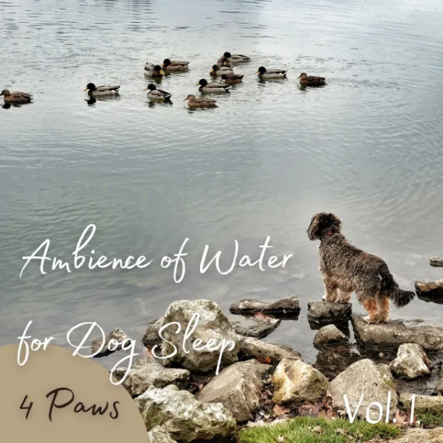 4 Paws: Ambience of Water for Dog Sleep Vol. 1