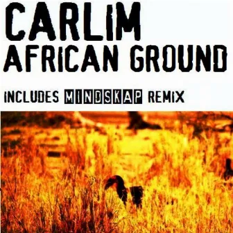 African Ground by Carlim