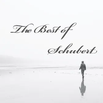 The Best of Schubert by Wigberht Grimwald